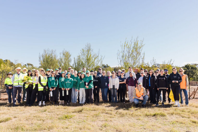 Making an Impact with Greenfleet